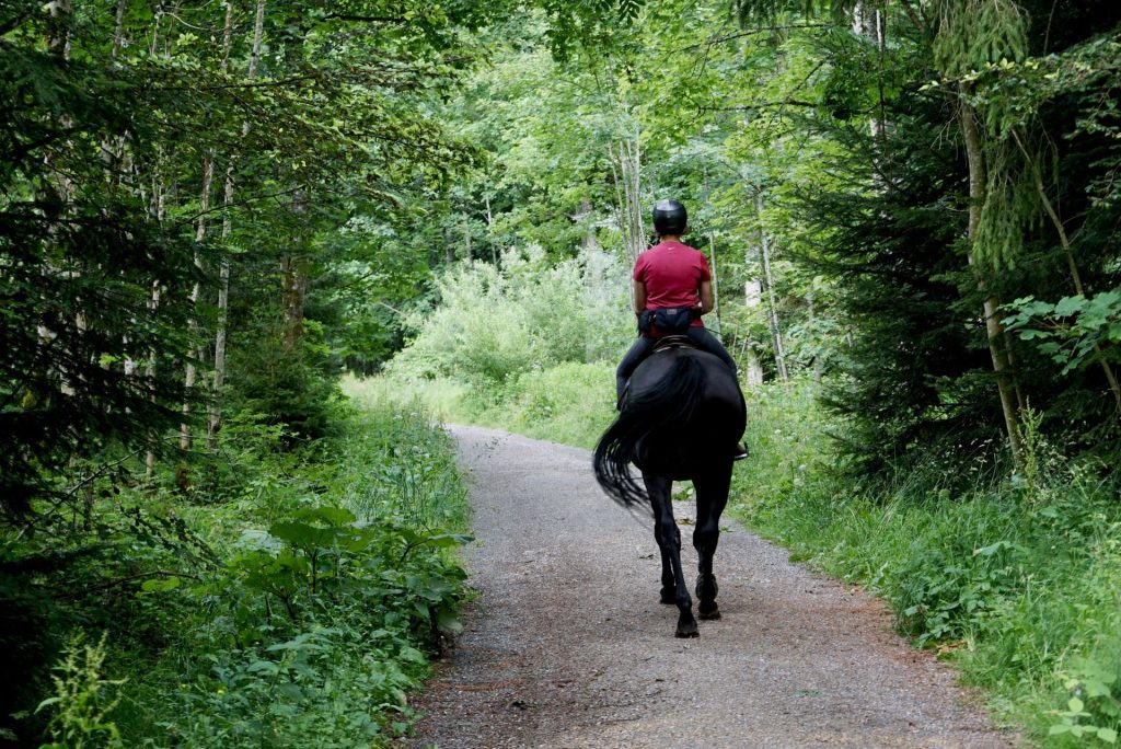 lydenburg-horse-riding-centre-1024x684.jpg