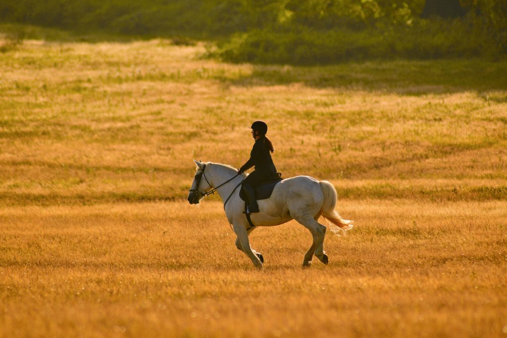 lydenburg-horse-riding-centre-2-1024x683.jpg
